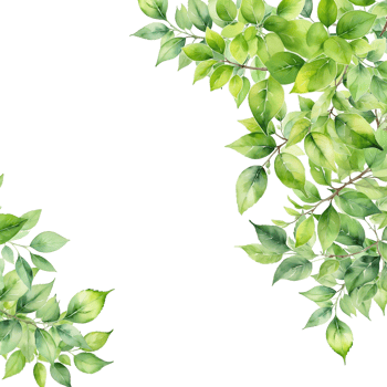 Botanical frame background, foliage border decoration png