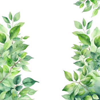 Leaves frame isolated border png