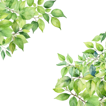 Leaves branch frame background, foliage isolated border png
