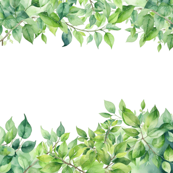 Leaves frame isolated border png