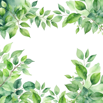square frame with leaves border png