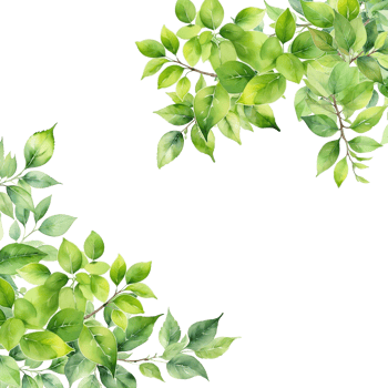 square frame with leaves border png