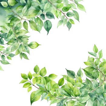 Leaves frame background, watercolor branch isolated border png