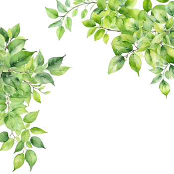 Botanical frame background, foliage border decoration png