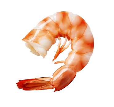 Shrimp on isolated background, shrimp perfection, unlocking seafood's best kept secret png