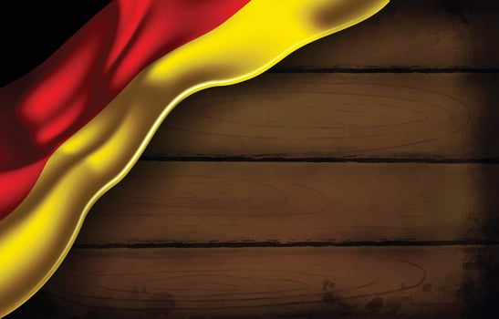 Germany flag on a wooden wall vector