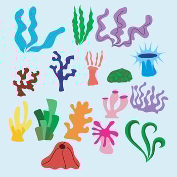 Set of fabulous sea corals, anemones and seaweed on blue background. Cartoon illustration of sea flora. vector