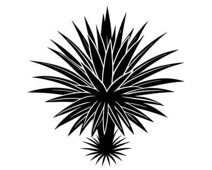 Yucca flower black silhouette illustration vector