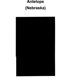 Antelope County, Nebraska blank outline map vector
