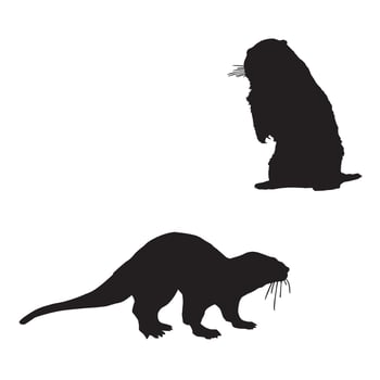 Sea Otter Silhouette vector