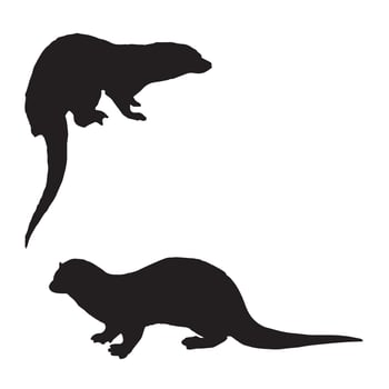 Sea Otter Silhouette vector