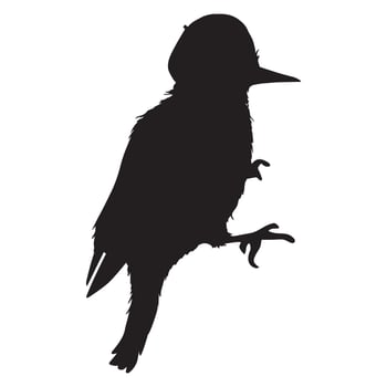 Illustration of Woodpecker Silhouette vector