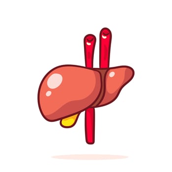 Human Liver Organ Cartoon. Human anatomy biology organ body system. Health care and medical education object concept design. Hand drawn cartoon icon illustration vector