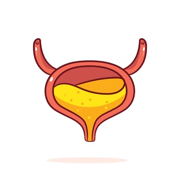 Human Bladder Organ Cartoon. Human anatomy biology organ body system. Health care and medical education object concept design. Hand drawn cartoon icon illustration vector