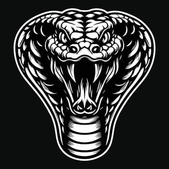 Dark Art Angry Cobra Snake Beast Head Black and White Illustration vector