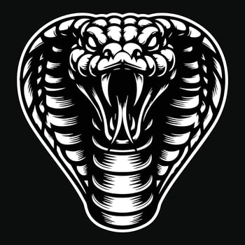 Dark Art Angry Cobra Snake Beast Head Black and White Illustration vector
