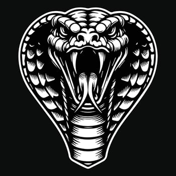 Dark Art Angry Cobra Snake Beast Head Black and White Illustration vector