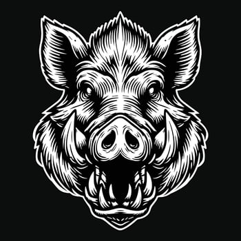 Dark Art Scary Angry Wild Boar Skull Head with Sharp Horn Black and White Illustration vector