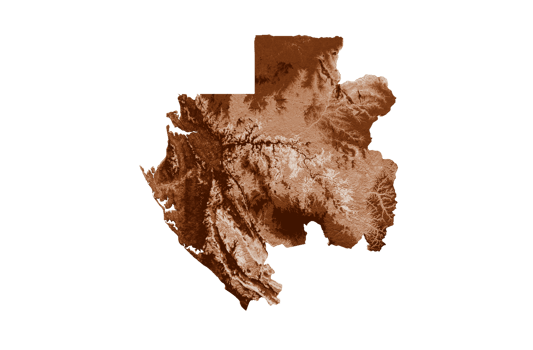 Map of Gabon in old style, brown graphics in a retro style Vintage Style. High detailed 3d illustration png