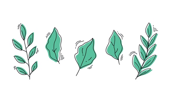 Line foliage leaves set. Hand drawn botanical green set. illustration vector