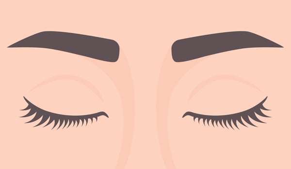 Woman with eyes closed. Closed eyes with lashes and eyebrows. illustration vector