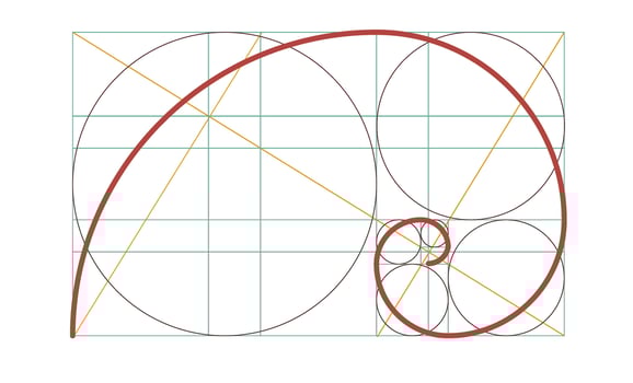 Golden spiral isolated template. Circles in golden proportion. Geometry harmony and balance. vector
