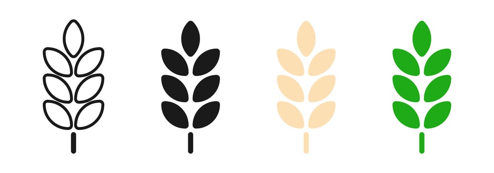 Wheat icon. Simple grain or cereal symbol. Rye, harvest or gluten illustration. Agriculture plant icon set. vector