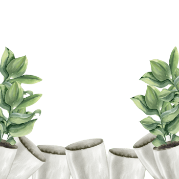 Home green plants in white ceramic pot watercolor border. Hand drawn home interior, poster decor template. Banner for urban jungle style, florist shop, gardener magazine. Pottery, design png