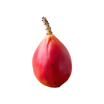 Cactus Pear isolated on transparent background png