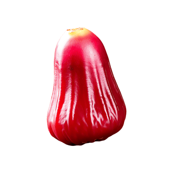Camu Camu isolated on transparent background png