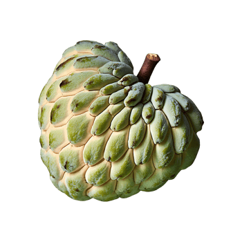 Custard Apple isolated on transparent background png