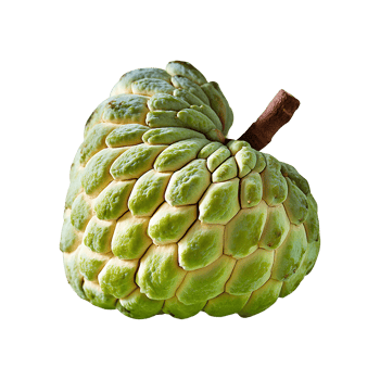 Custard Apple isolated on transparent background png