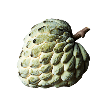 Custard Apple isolated on transparent background png