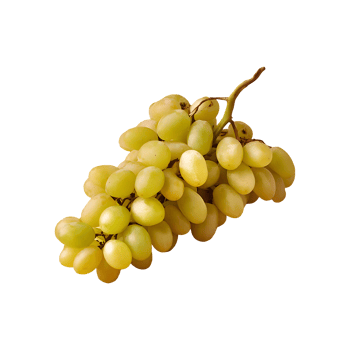 Grape isolated on transparent background png