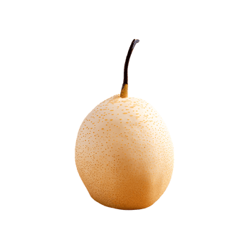 Asian Pear isolated on transparent background png