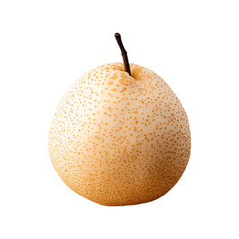Asian Pear isolated on transparent background png