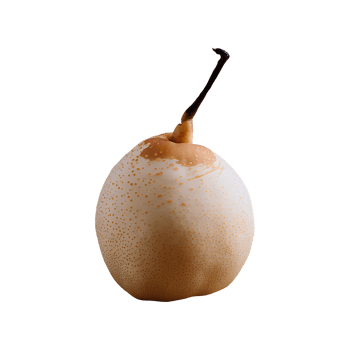 Asian Pear isolated on transparent background png