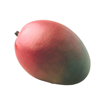 Mango isolated on transparent background png