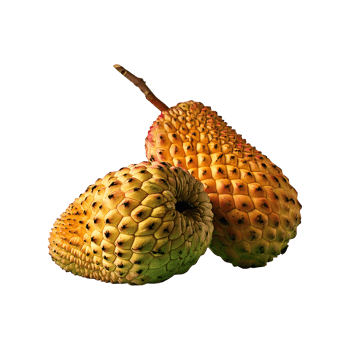 Miracle Fruit isolated on transparent background png