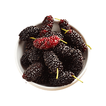 Mulberry isolated on transparent background png