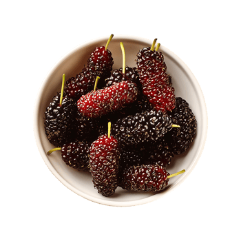 Mulberry isolated on transparent background png