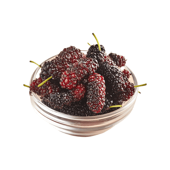 Mulberry isolated on transparent background png