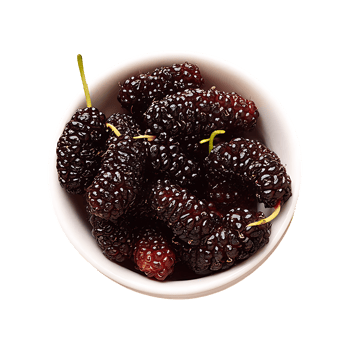 Mulberry isolated on transparent background png