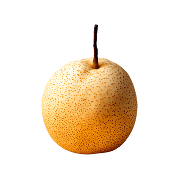 Nashi Pear isolated on transparent background png