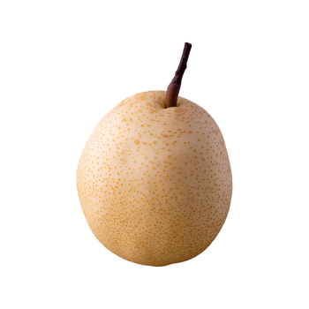 Nashi Pear isolated on transparent background png