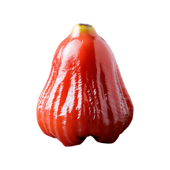 Sorb Apple isolated on transparent background png