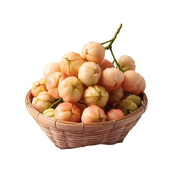 Surinam Cherry isolated on transparent background png