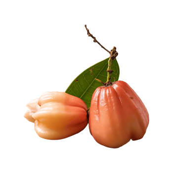 Surinam Cherry isolated on transparent background png
