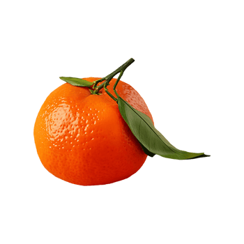 Tangerine isolated on transparent background png