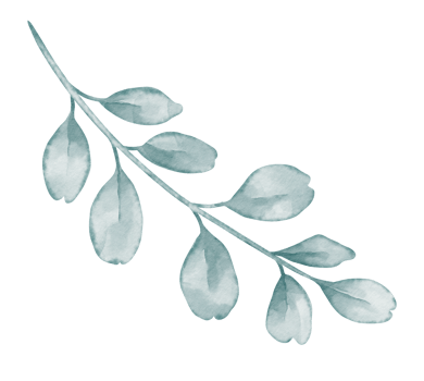 Watercolor Branch in green and blue Pastel colors. Botanical element on isolated background or wedding Invitation or baby birthday cards design. Drawing of simple Leaves for kids clipart png